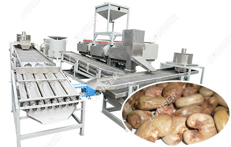 Cashew Nut Shelling Machine